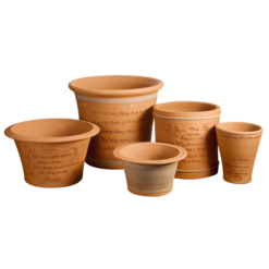 Flower pots